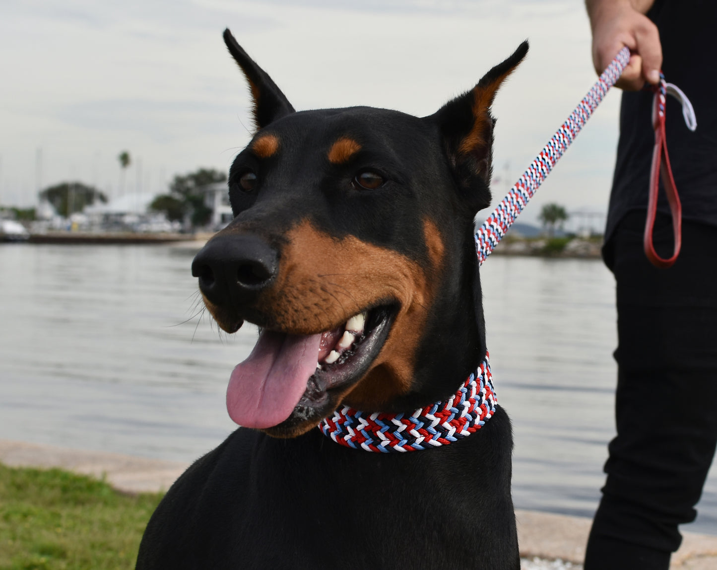Dog Collar and Leash Set - French Nautica