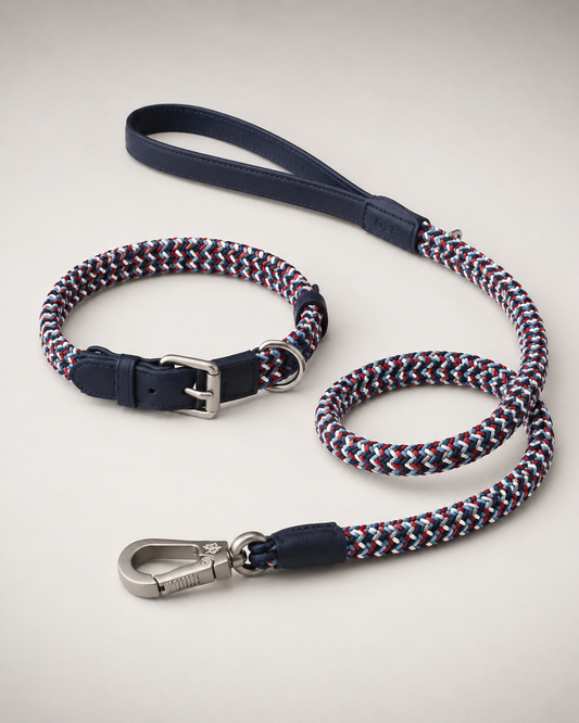 Braided dog collar & leash — Blueberry Swirl