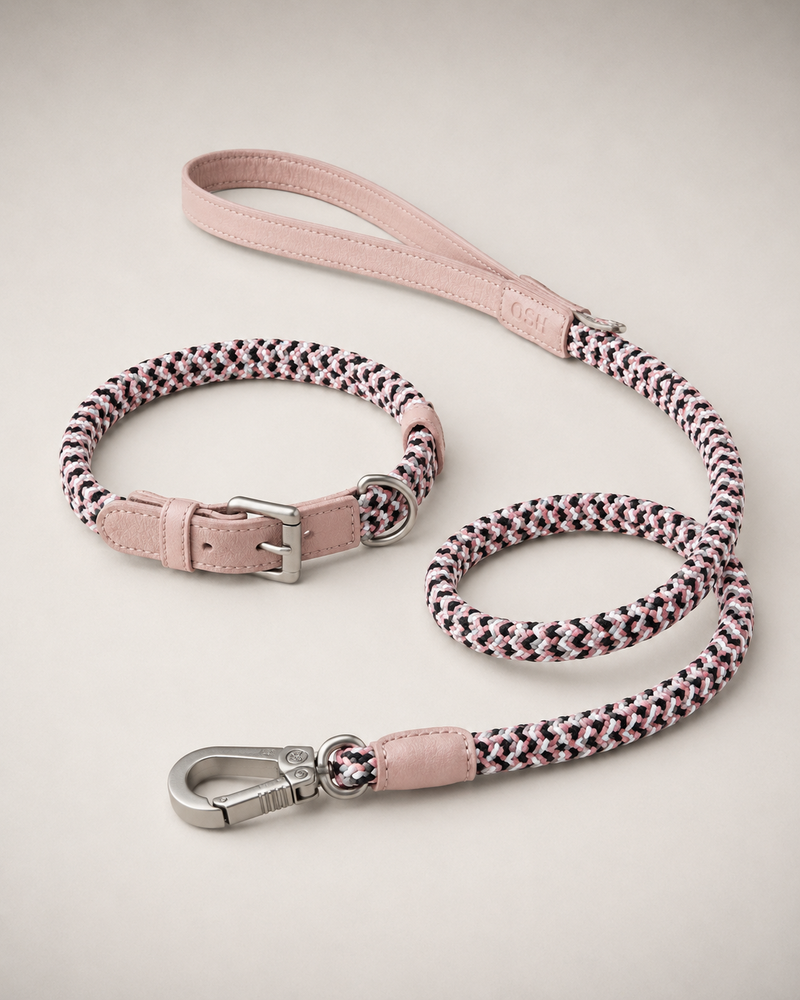 Braided dog collar & leash — Chloe