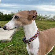 Dog Collar and Leash Set - Blueberry Swirl